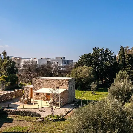 Apartment Olivetta ,traditional Stone House Kos Town