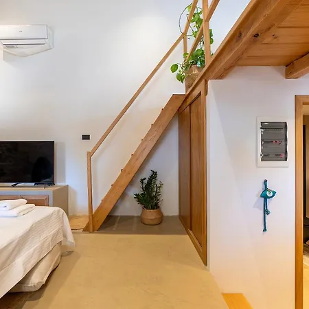 公寓 Olivetta ,traditional Stone House *